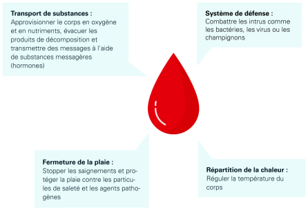 Schéma 1: Fonctions du sang, source: Transfusion CRS Suisse (2023)